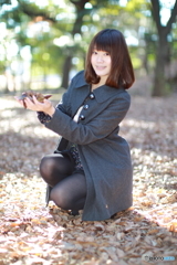 **2010 December**