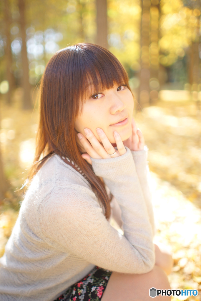 **2009  November**