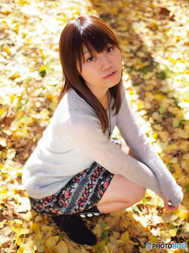 **2009  November**