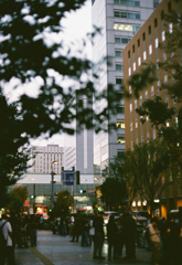 Tokyo Evening Walk #3 (Film)