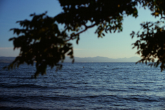 湖・青 (Film)