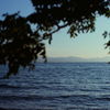 湖・青 (Film)