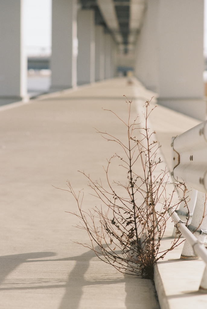 Cold Concrete (Film)