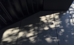 無機質な木漏れ日 #2 (iPhone)