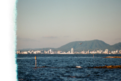 1コマ目の湖 (Film)
