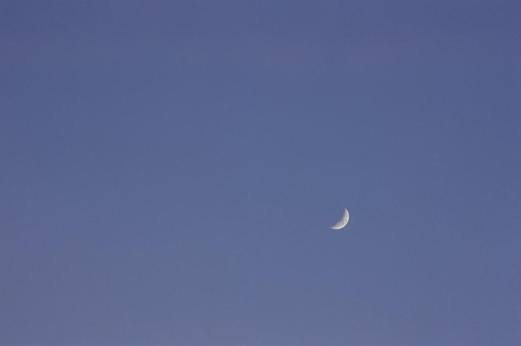 Pure Purple Sky (Film)