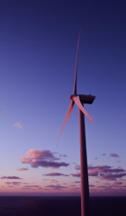 Wind Turbine in the Evening #3 (Film)
