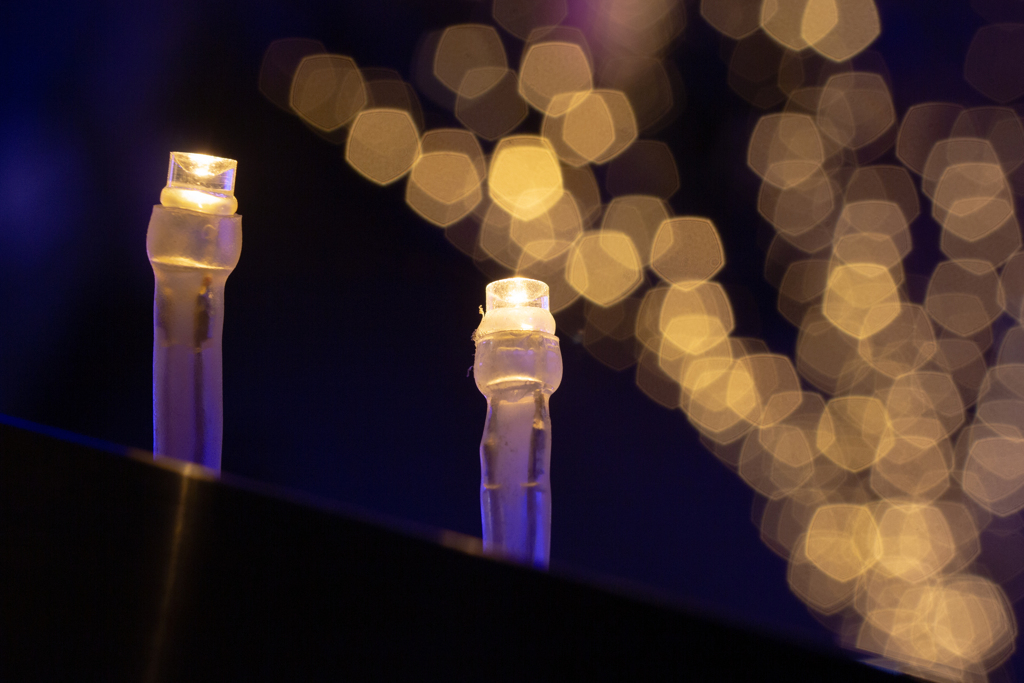 仲良しLED - 5枚羽根絞り