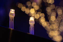 仲良しLED - 5枚羽根絞り