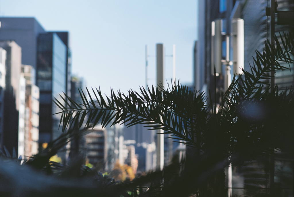 Oases in the city #1 (Film)