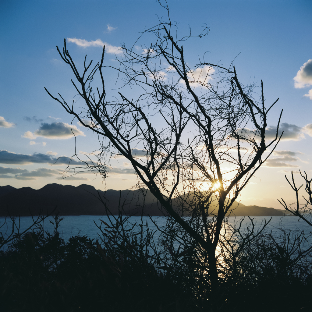 Blue & Amber #2 (Film)