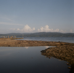 Lake (Film)