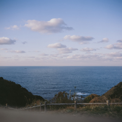 As far as the eye can see... (Film)