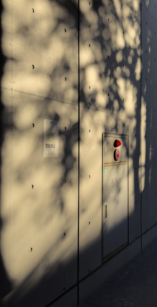 無機質な木漏れ日 #1 (iPhone)