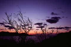 A Silent Night Comes... (Film)