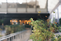 Oases in the city #2 (Film)