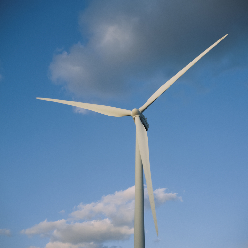 Minimal Photo - Izumo (Film)