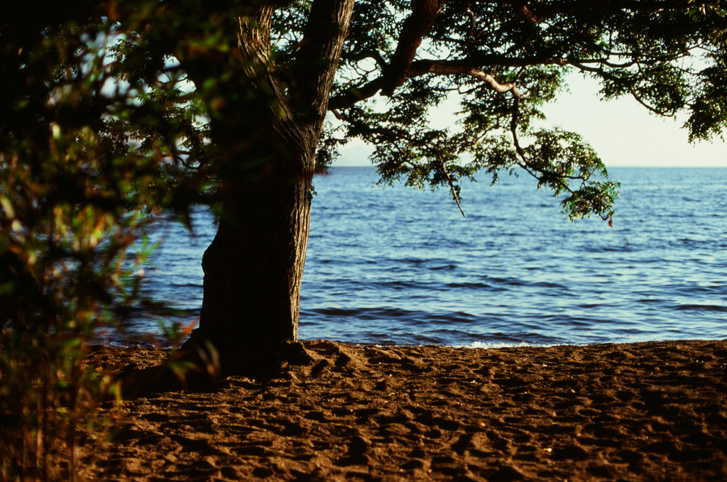幻想の湖 ver2.0 (Film)