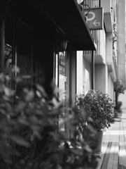 街がまだ静寂に包まれる頃... (Film)