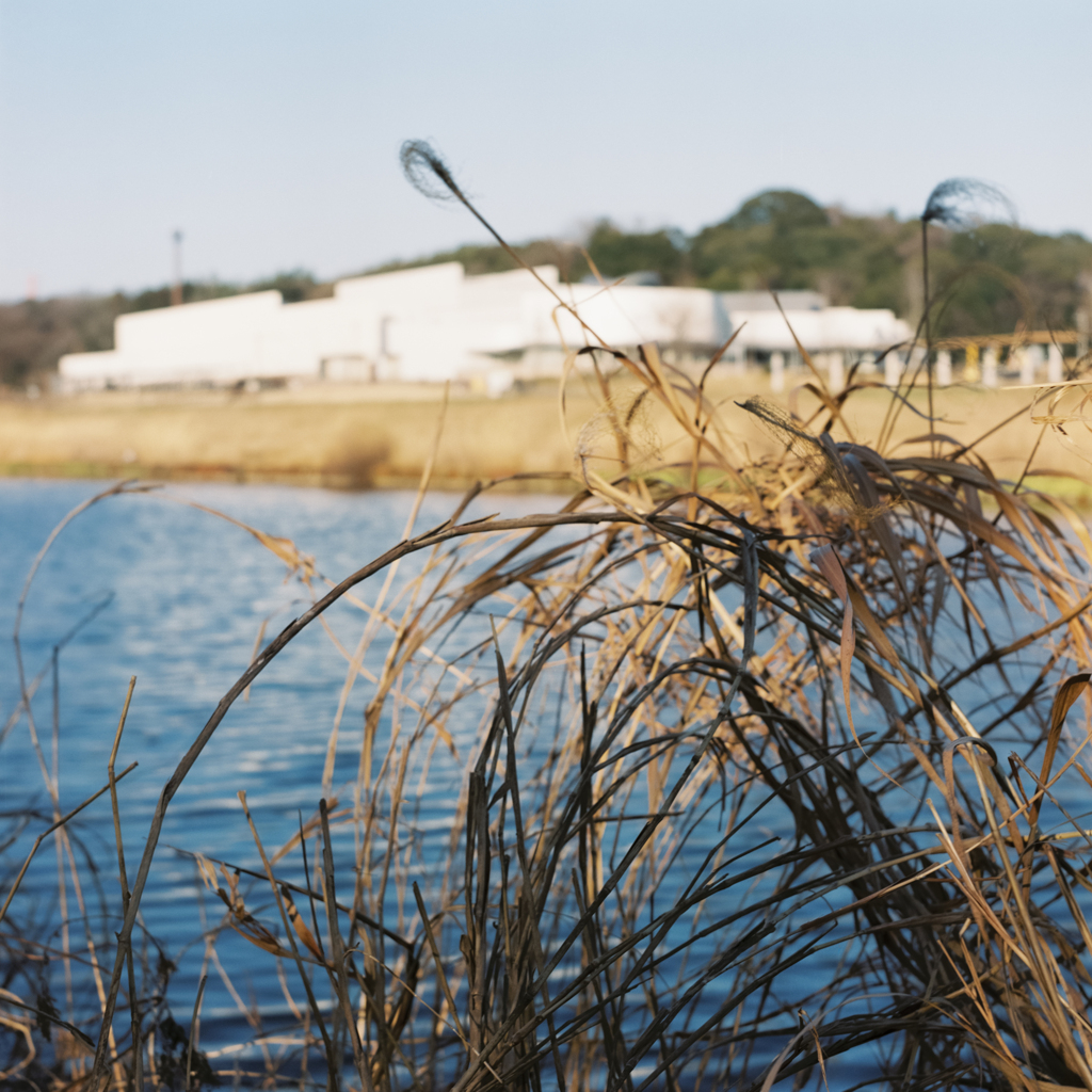 Riverside in the Evening #2 (Film)