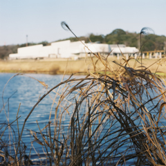 Riverside in the Evening #2 (Film)