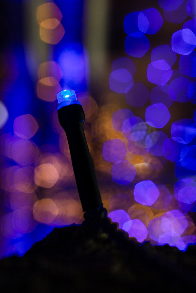 今日は君が主役