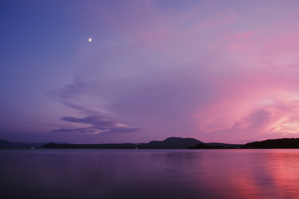 Purple & Pink (Film)