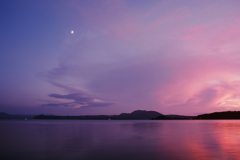 Purple & Pink (Film)
