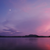 Purple & Pink (Film)