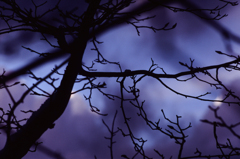 Dark Purple Marble (Film)