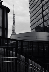 もう少し観たい東京TOWER (Film)