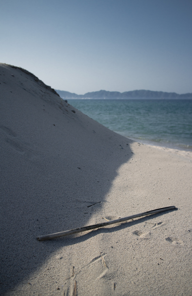 ぽつんと枝 Ver.2.0