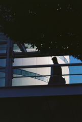 Yokohama Afternoon Walk #4 (Film)