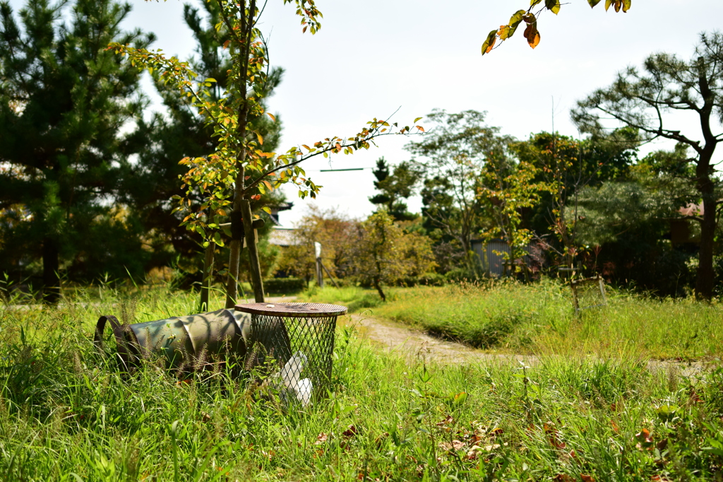くず籠とドラム缶