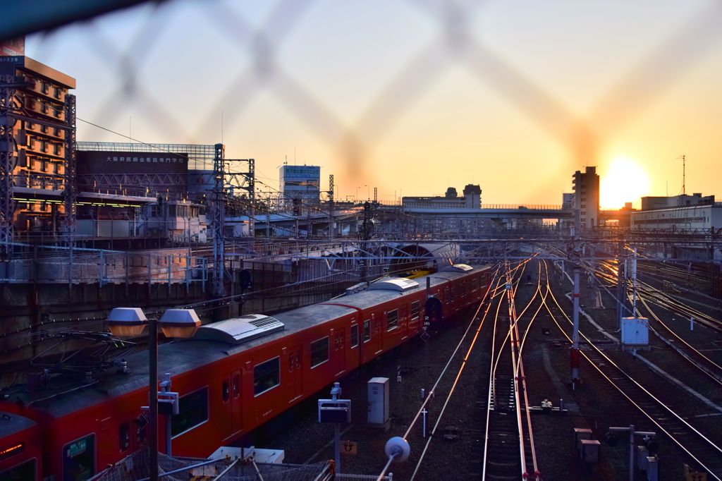 都会的 初日の出