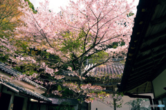 如意輪寺にて