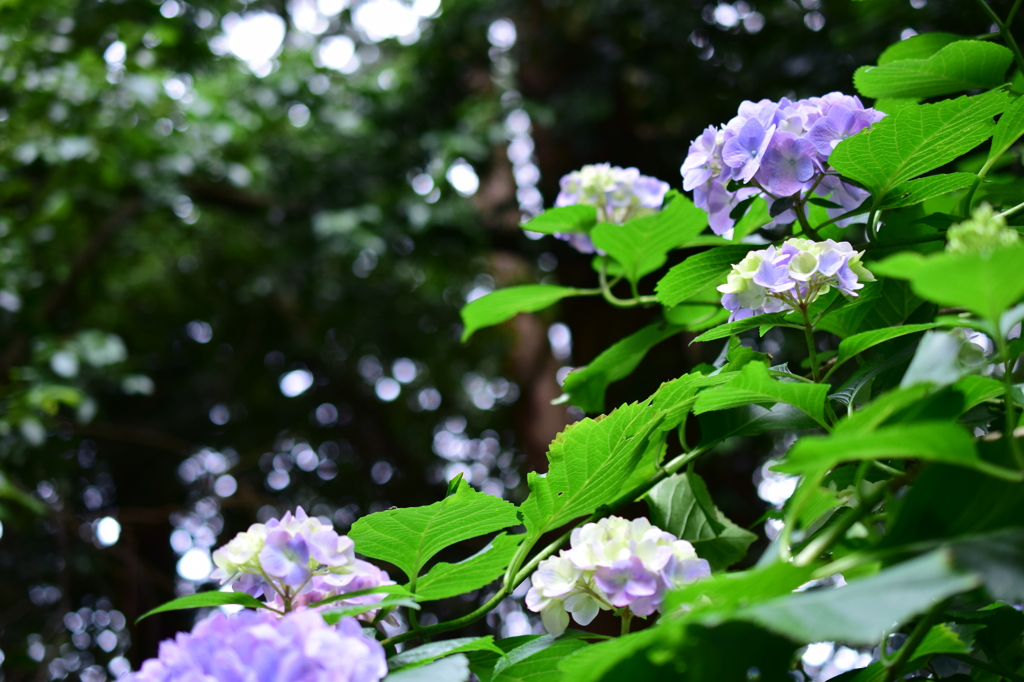 見上げるスタンス