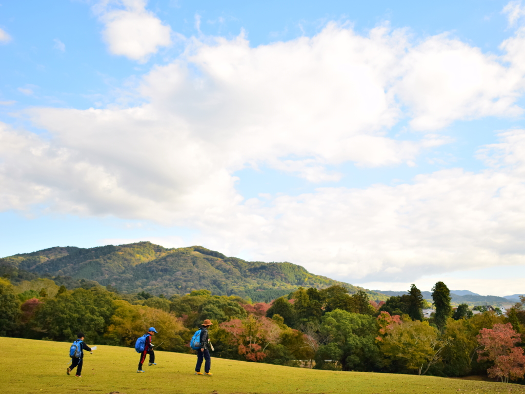 アヒルのような親子