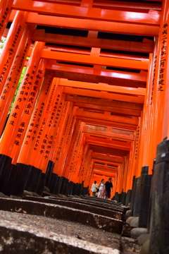 千本鳥居をゆく