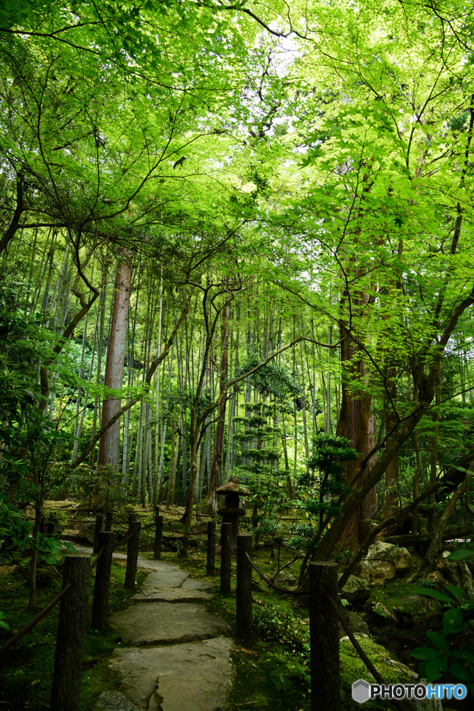 庭園散歩