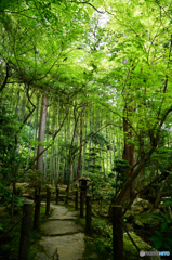 庭園散歩