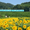 爽やかブルーと陽気なイエロー