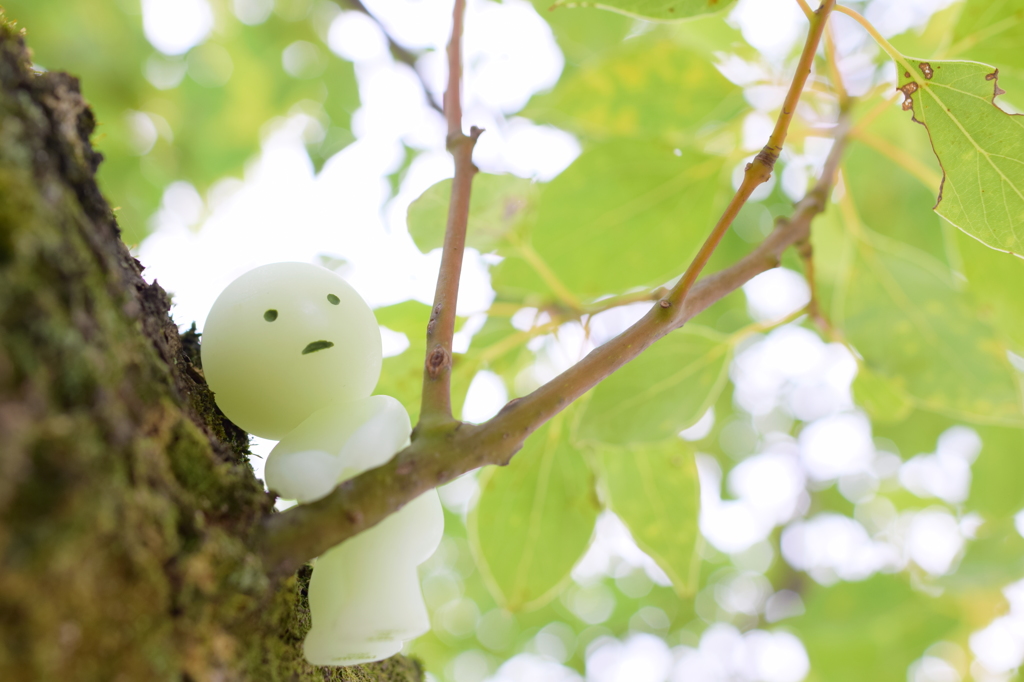 よっこいしょ