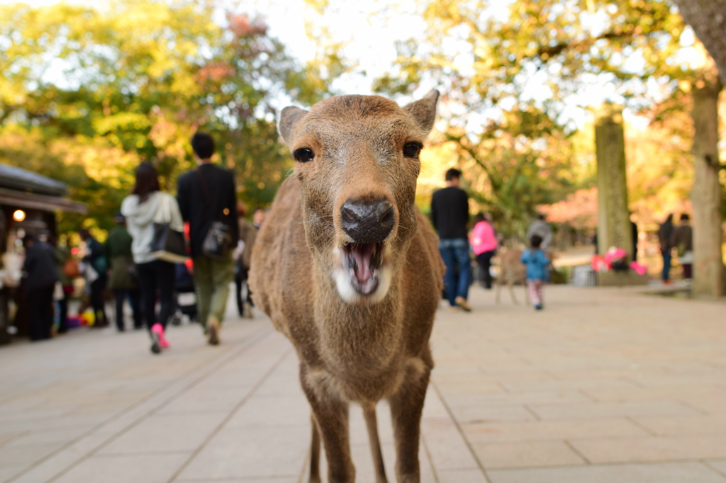ぬぉ〜ん
