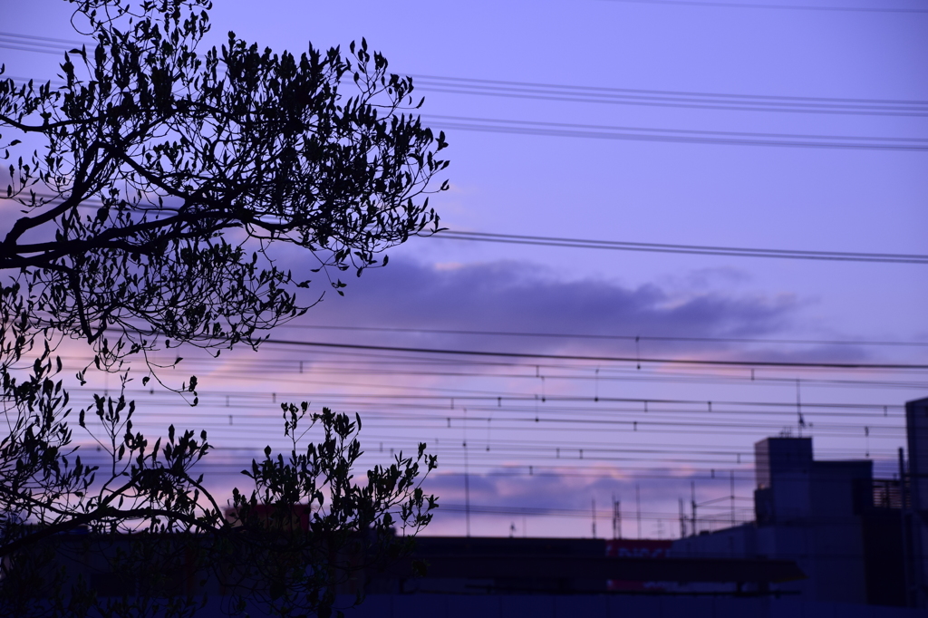 電線空模様
