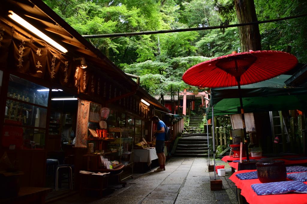 どれにしようかなぁ