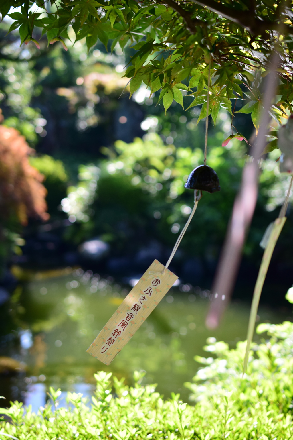 夏風に揺れる