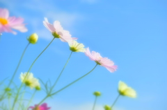 さぁ、奏でよう