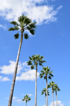 気分はバカンス！