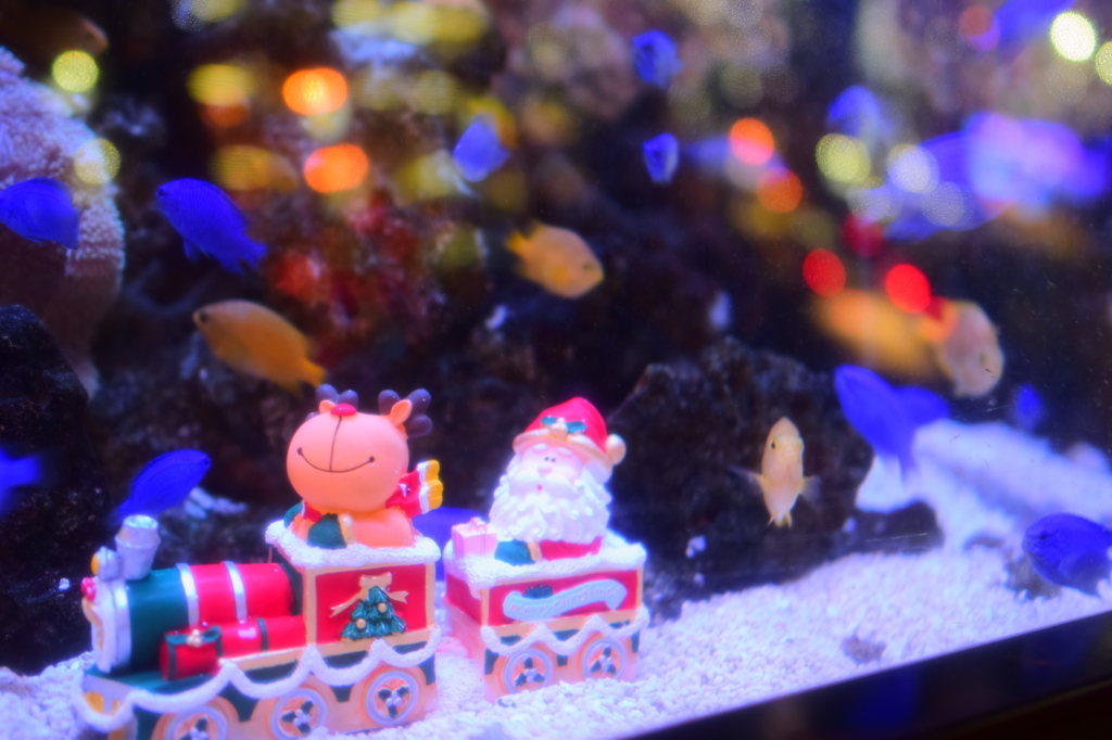 サンタがプレゼントを渡しに来るのね～